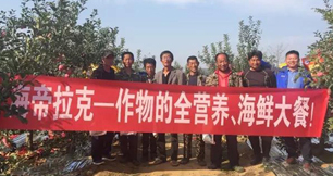 蘋果樹12月管理技術要點！抓緊時間看