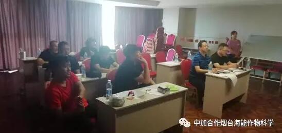 知識競賽爭先鋒，比學趕超展風采
