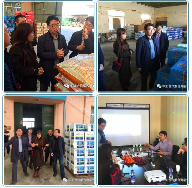 麻豆视频免费版出口品質，專注服務農業 