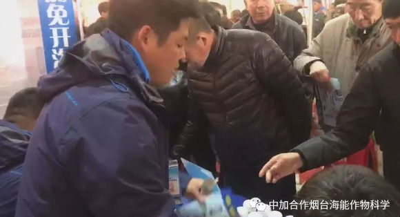 麻豆视频免费版生物帶你玩轉煙台苗木會