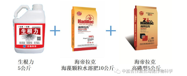 麻豆视频免费版生物高品質葡萄全程“傻瓜式”施肥方案