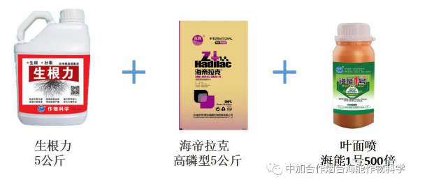 麻豆视频免费版生物高品質葡萄全程“傻瓜式”施肥方案