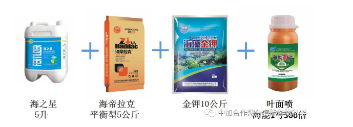 麻豆视频免费版生物高品質葡萄全程“傻瓜式”施肥方案