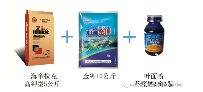 麻豆视频免费版生物高品質葡萄全程“傻瓜式”施肥方案