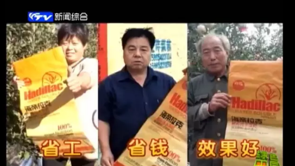 蘋果樹12月管理技術要點！抓緊時間看