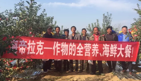 蘋果樹12月管理技術要點！抓緊時間看