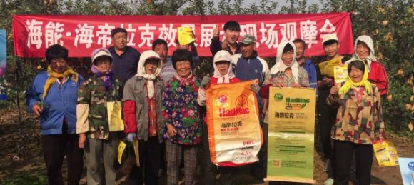 蘋果樹12月管理技術要點！抓緊時間看