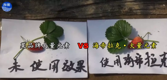 水肥一體化不止是節水、節肥！還有這功效！