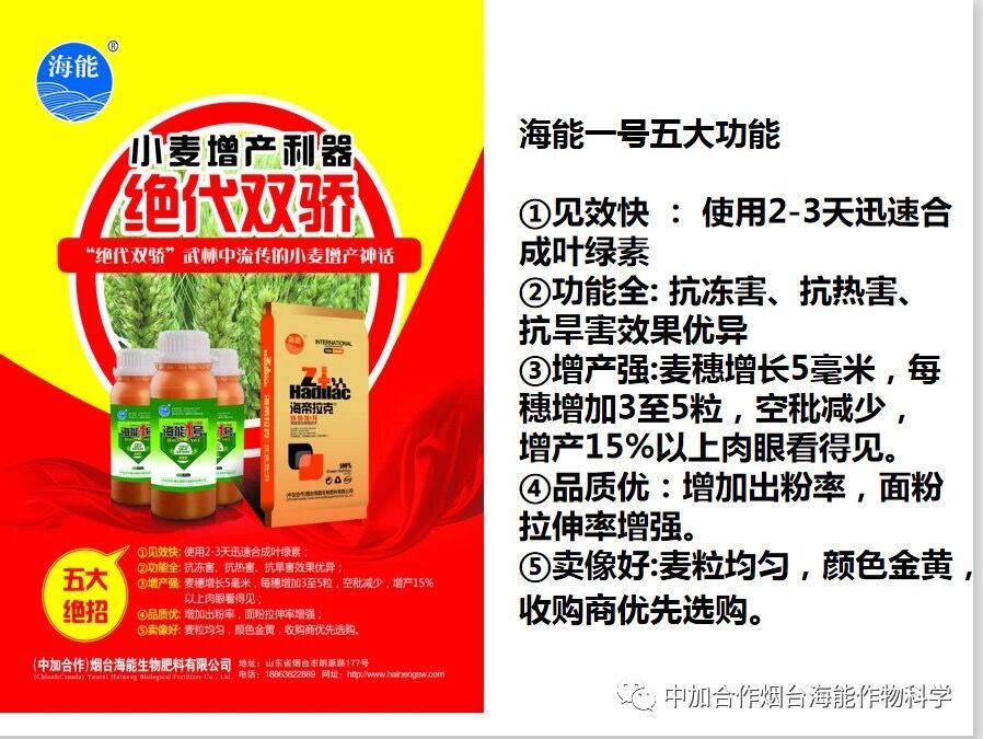 抗寒利器，麻豆视频免费版1號