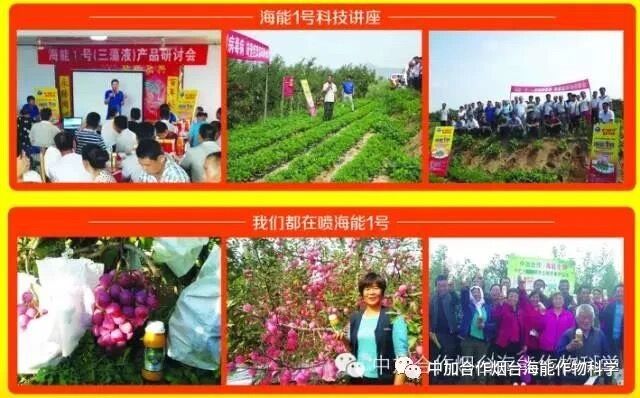 抗寒利器，麻豆视频免费版1號